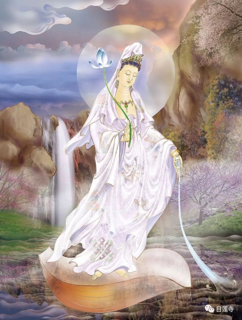 菩萨网